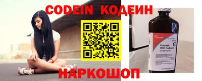 индика Беслан