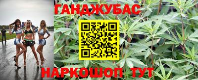 индика Беслан
