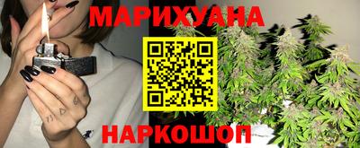 индика Беслан