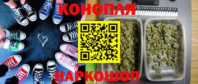 индика Беслан
