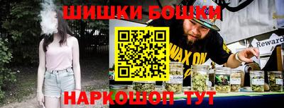 индика Беслан