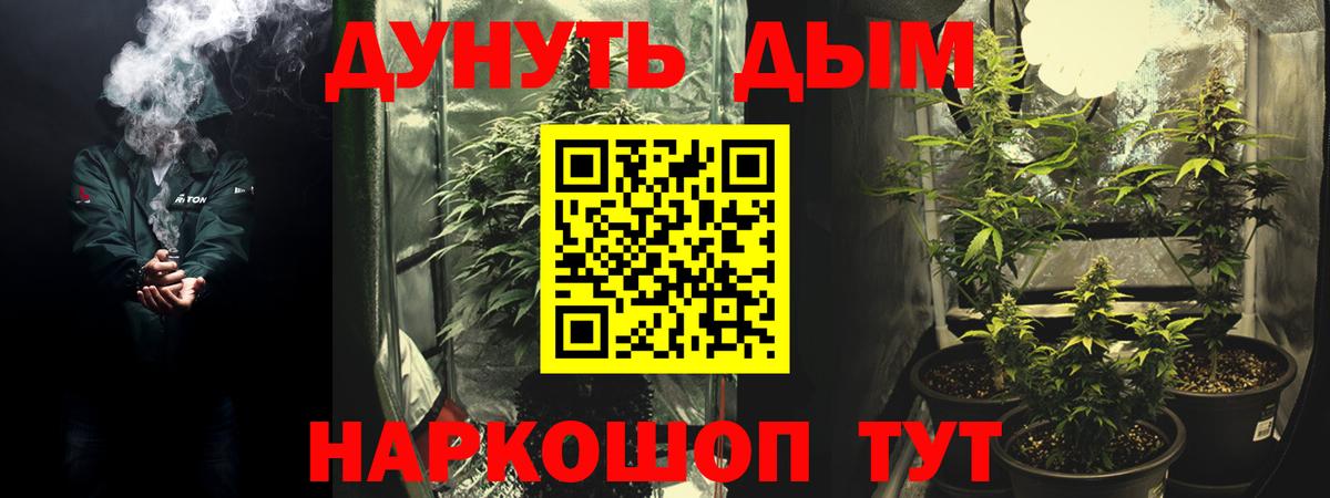 Бошки Шишки VHQ  Конопля ГИДРОПОН  Вход с VPN  Аша  Конопля индика  Марихуана VHQ 